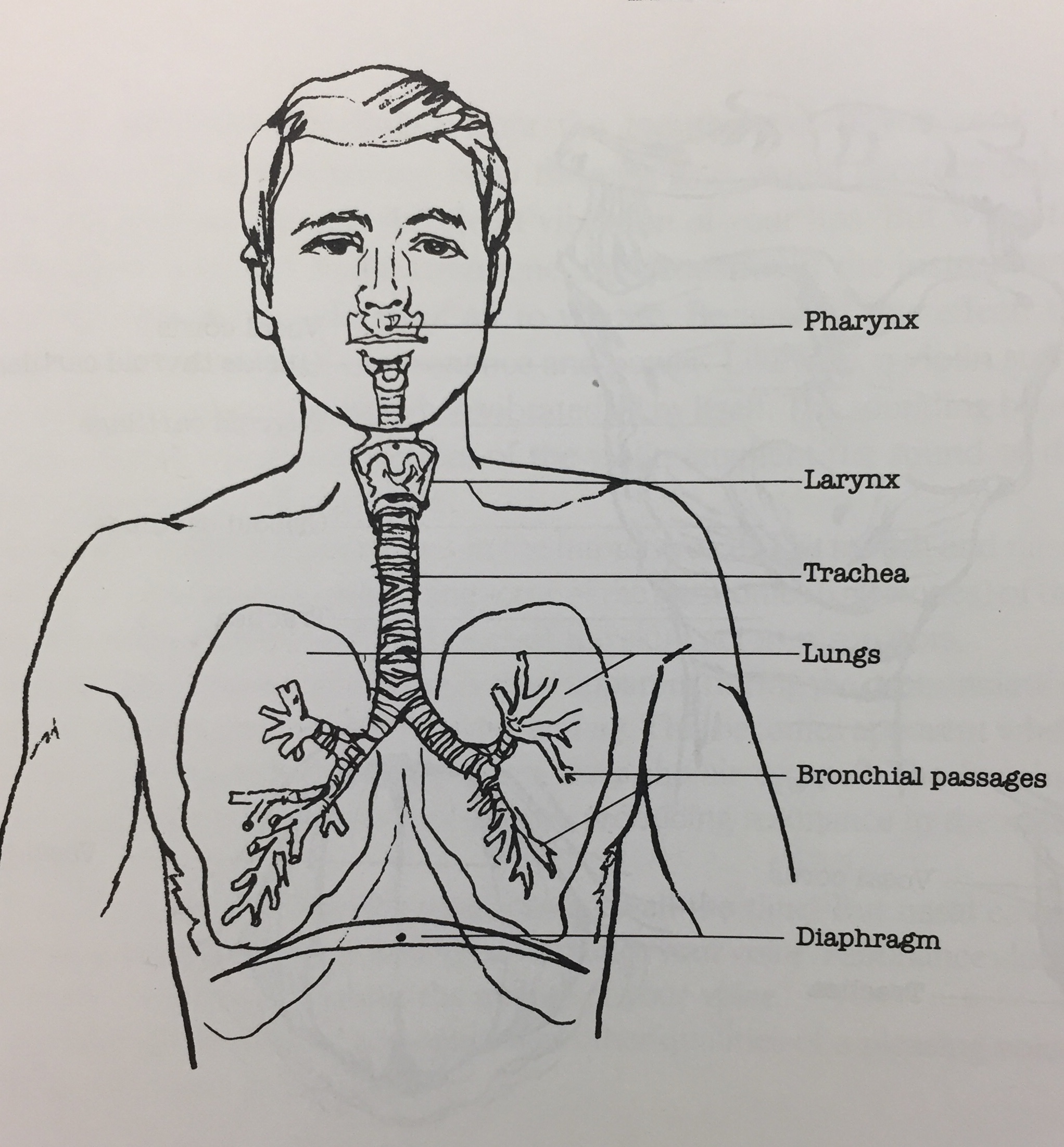 diaphragmatic breathing script pdf